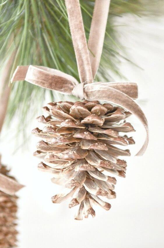 A pine cone and a ribbon (1)