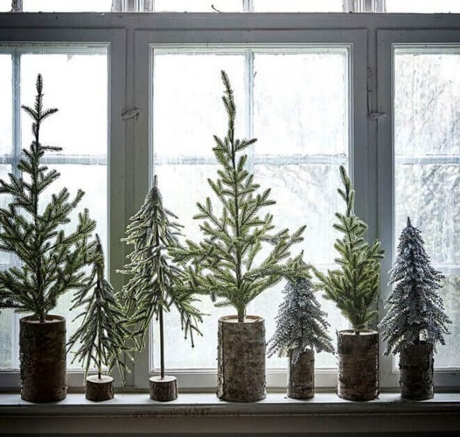 Natural Christmas trees 