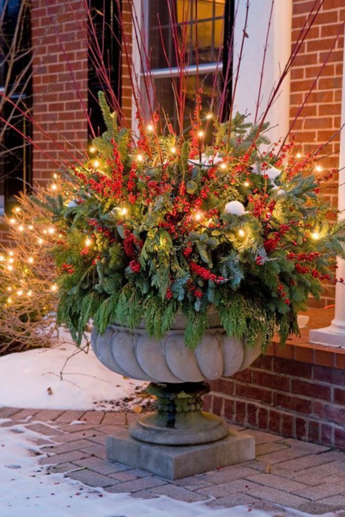 Decorate your ornamental shrubs