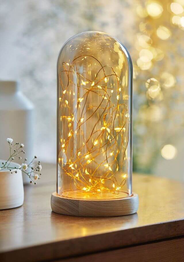 A bell under glass with a light garland (1)