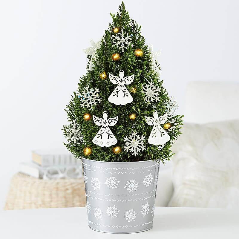Alternatives to the Christmas tree (1)