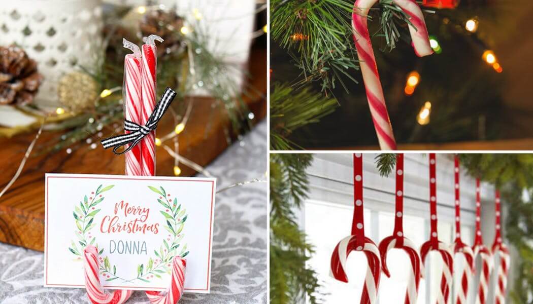 Candy canes at Christmas (1)