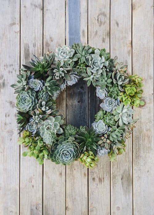 Decorate the front door with a wreath of succulents 
