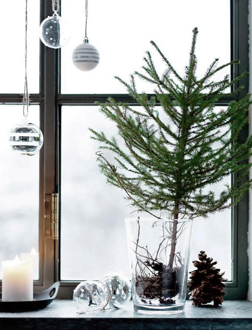 Decorate with dead firs (1)