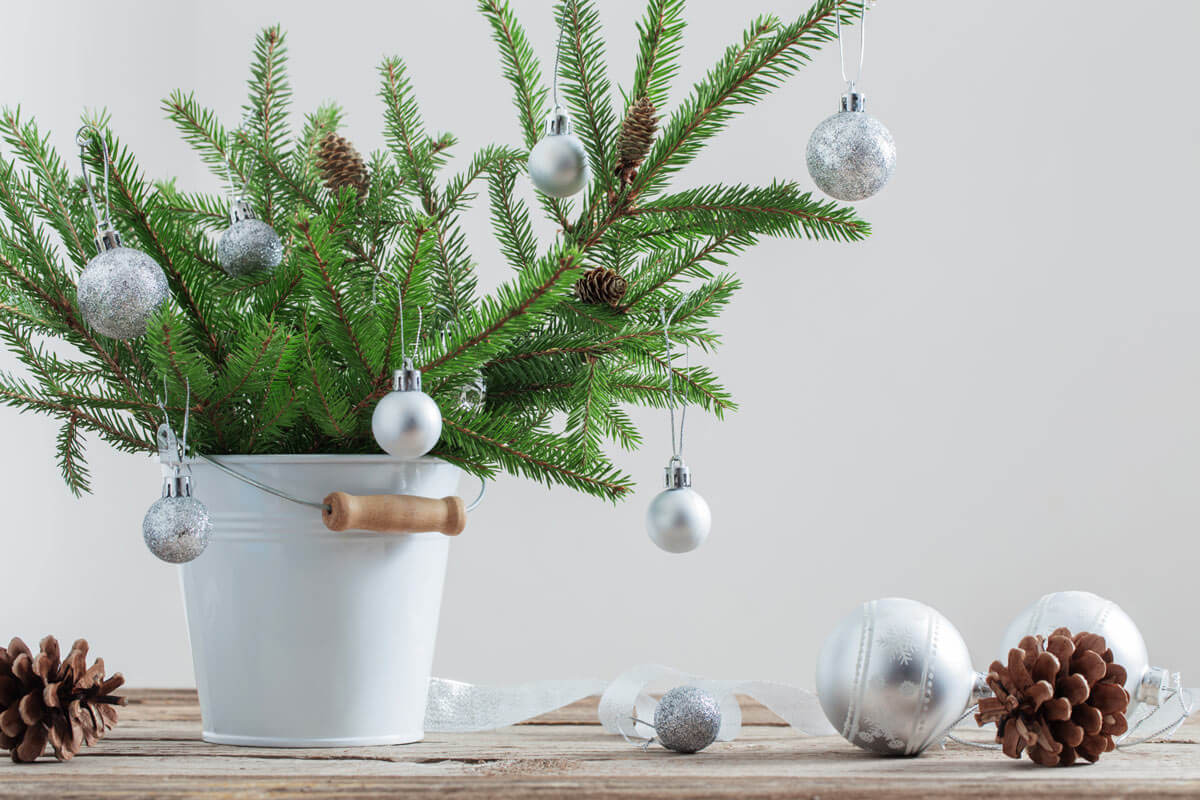 Decorate with mini fir tress and silver balls (1)