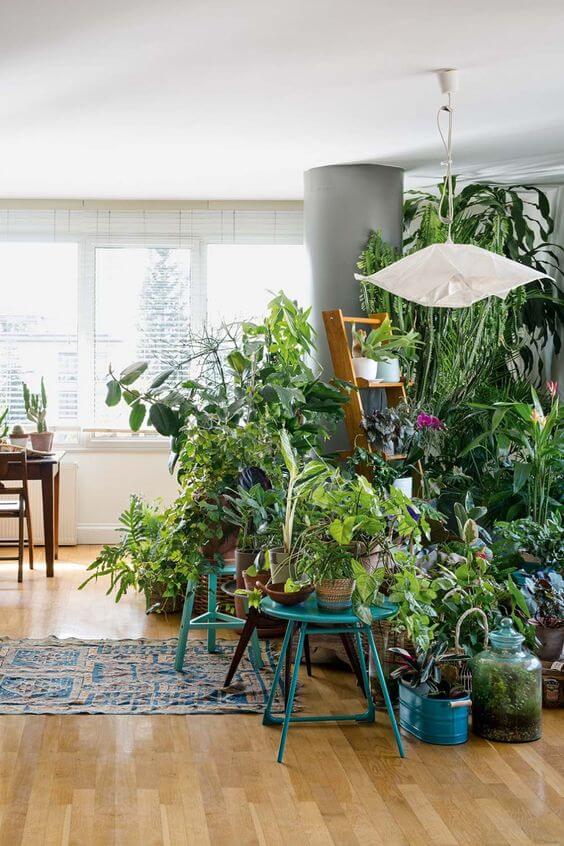 Decorate with plants  (1)