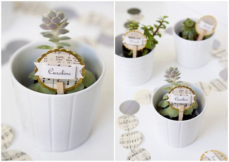Succulents as place cards or plate gifts for Christmas (1)
