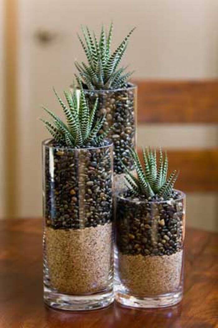 Vases with cacti (1)