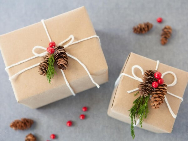 an original gift wrapping for Christmas, to make yourself with pine cones (1)