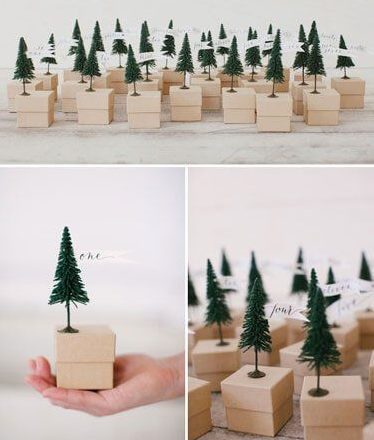 mini trees (2)