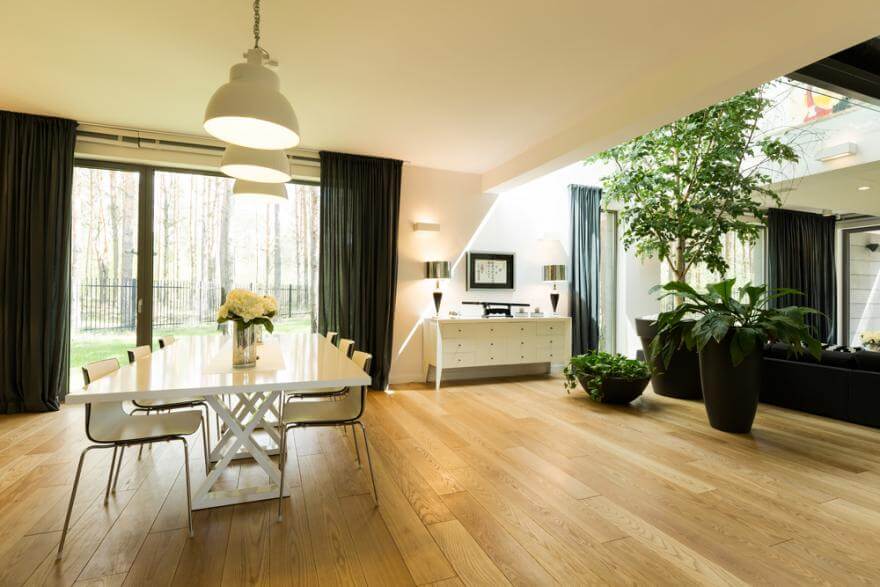 A double living room with plant separation (1)