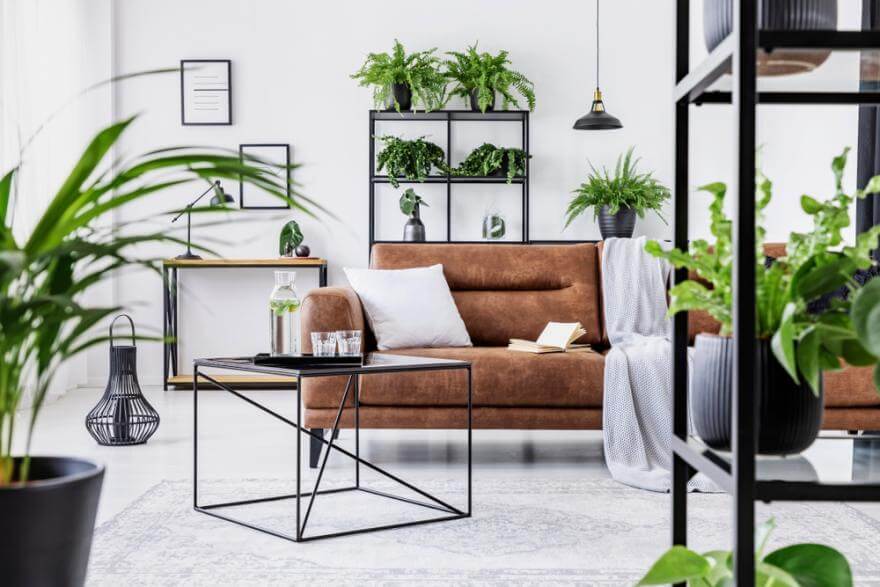 Bring nature into the living room with plants (1)