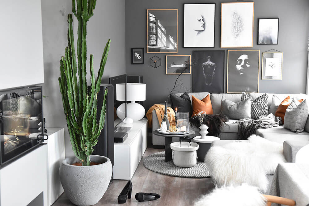 20 Ideas of the Gray Living Room (1)