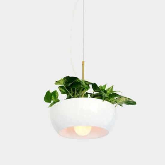 A pendent lamp serving as a hanging garden (1)