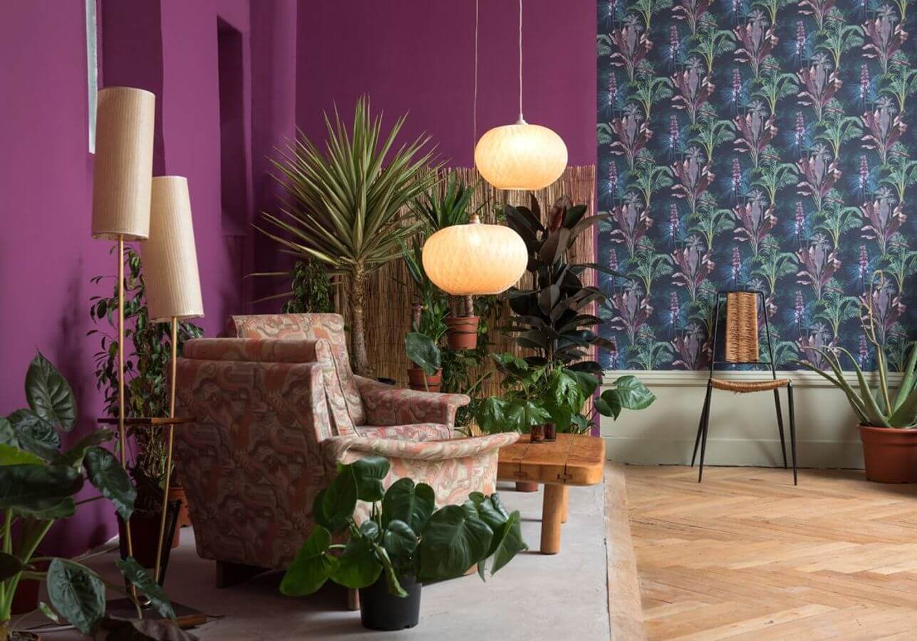 A purple colored living room  (1)