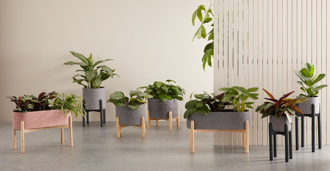 A support for indoor plants (1)