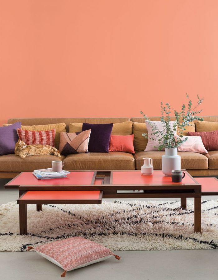 An orange colored living room1