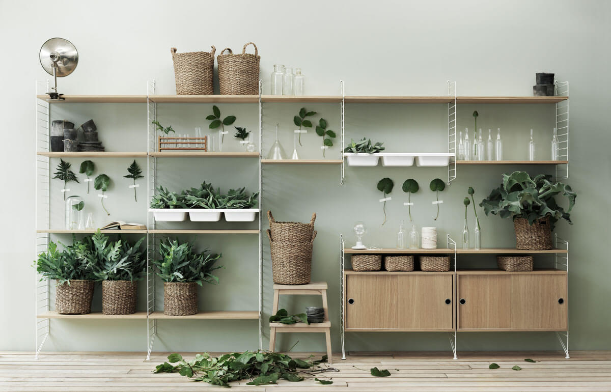Arrange your plants on a shelf (1)