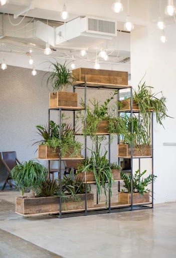 Make a partition wall with plants (1)