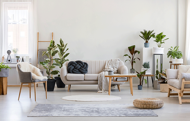 20 Tips for Setting Up a Zen Living Room