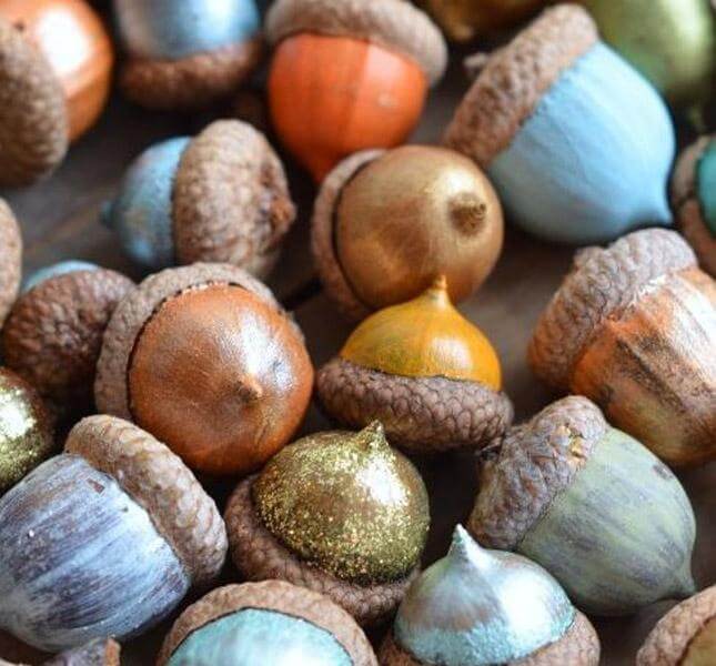 Gather colorful acorns (1)