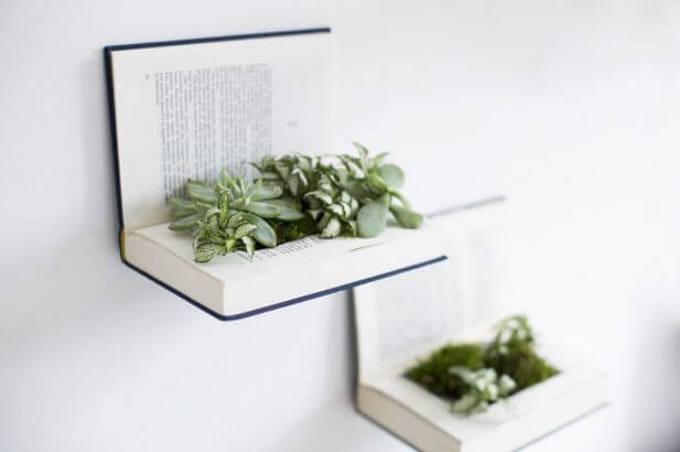 Vegetable shelves (1)