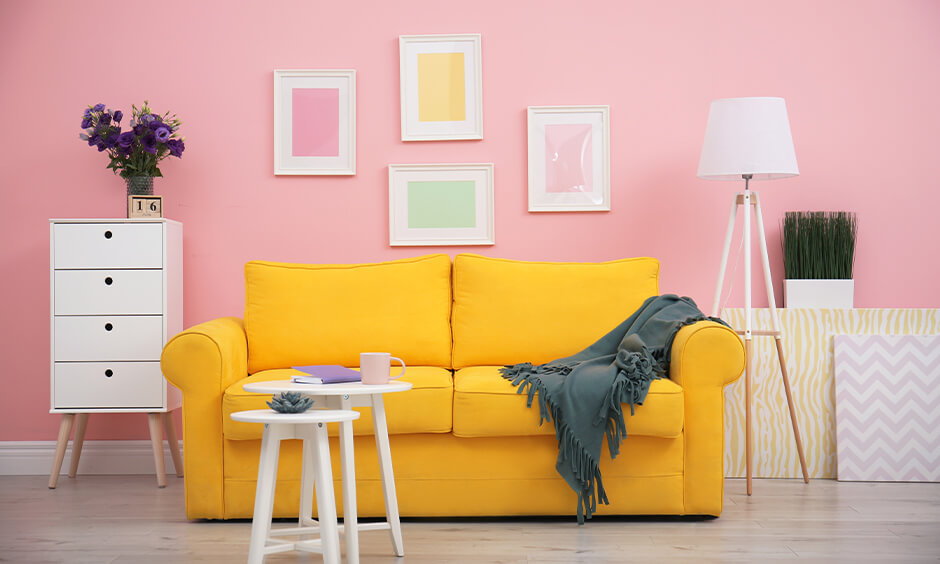 Choose a colored sofa (1)