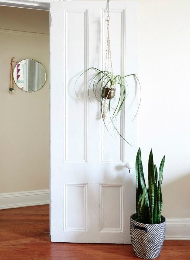 Door with plant or shelf (1)