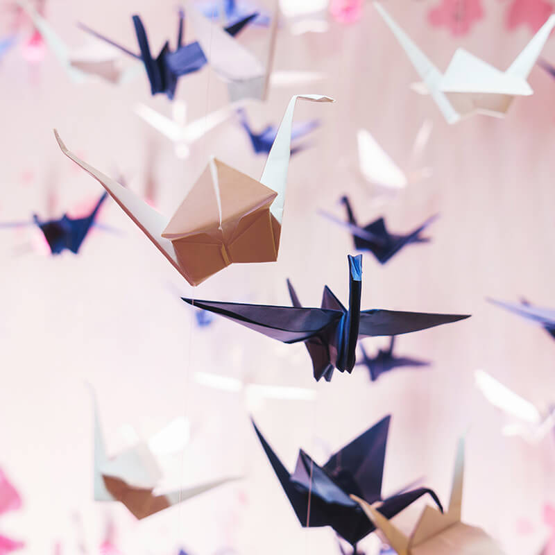 Origami flight (1)