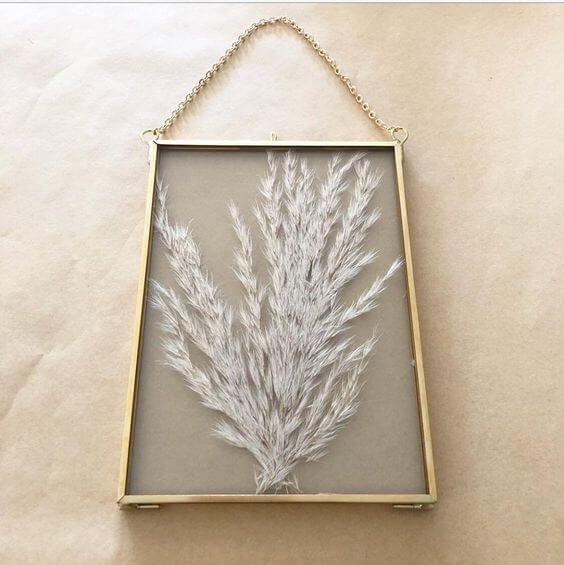 Pampas grass as a wall decoration (1)