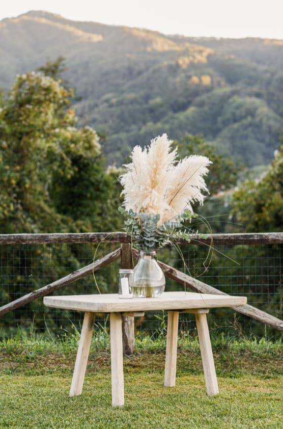 Pampas grass in bunch (1)