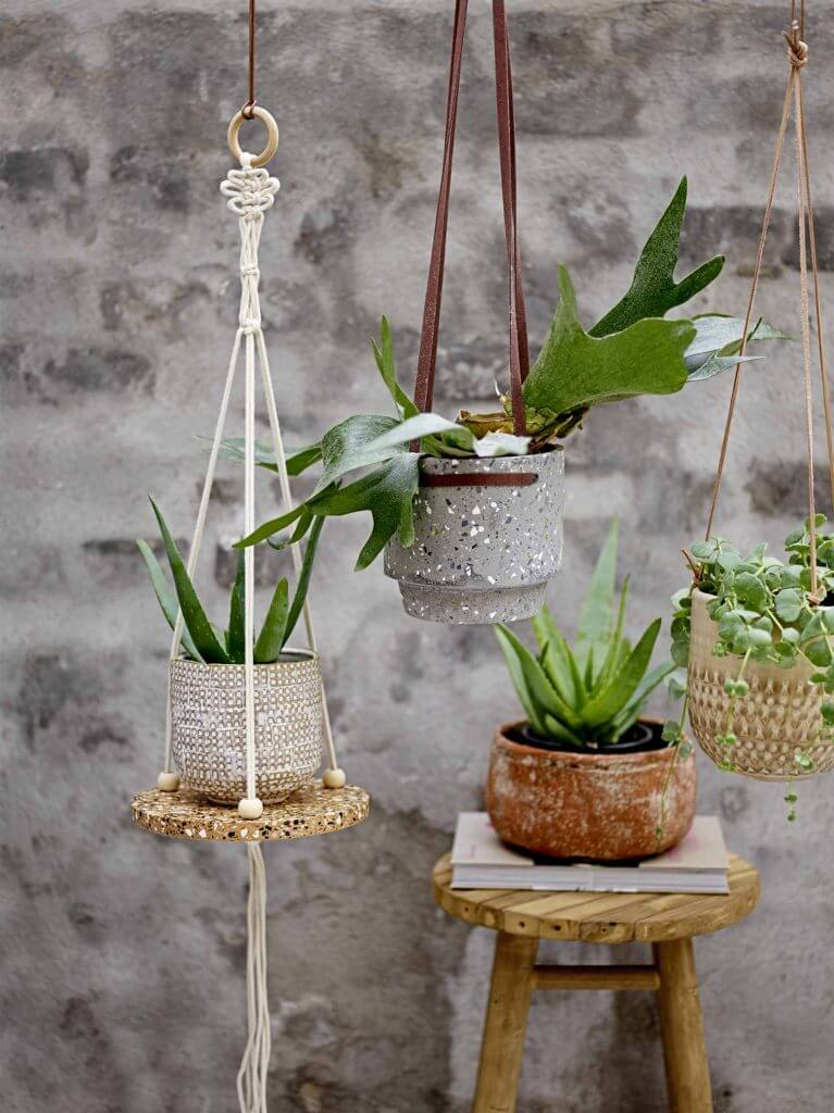 Plants and nature decoration (1)