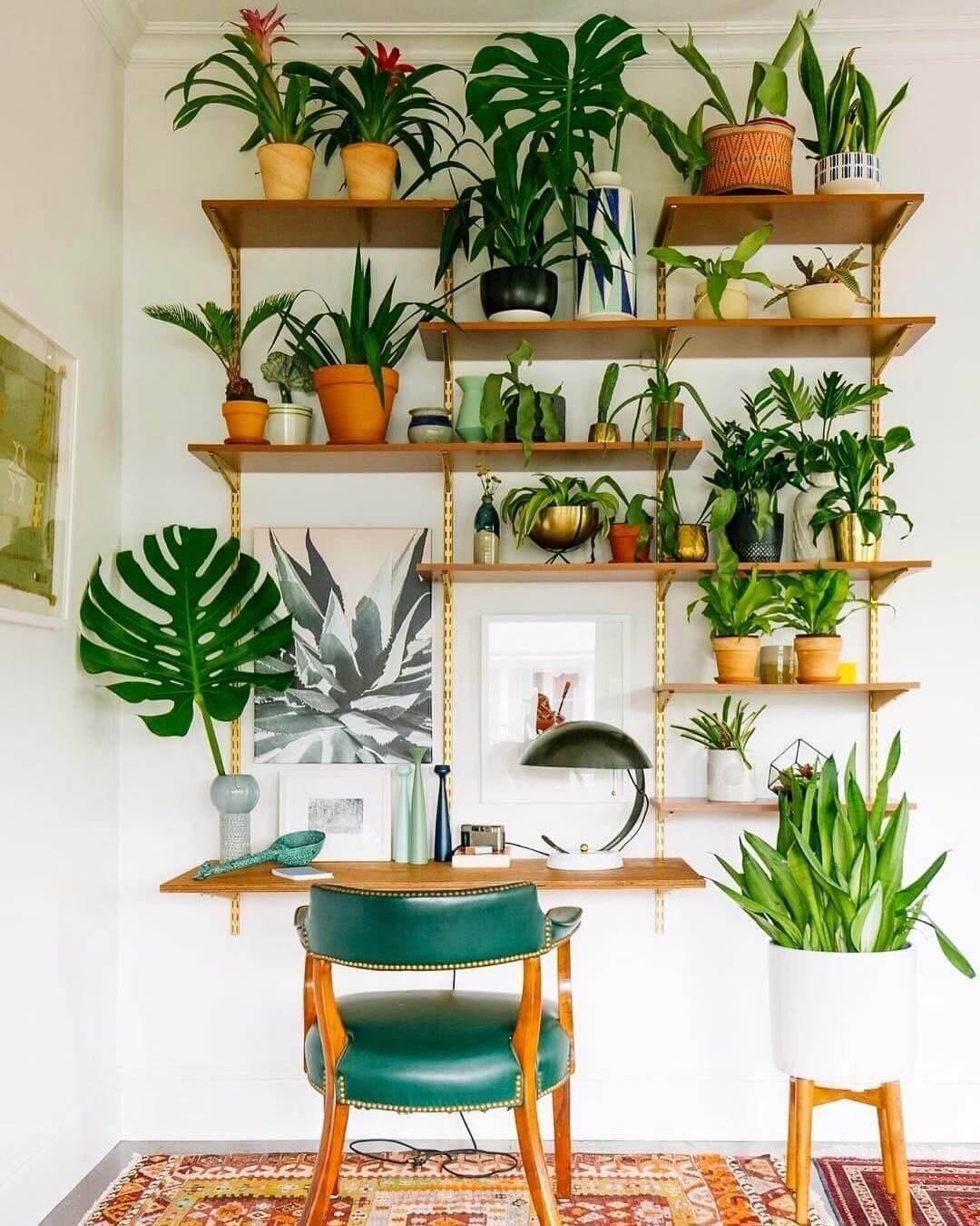 30 Unique Ideas to Decorate Your Home With Green Plants (1)