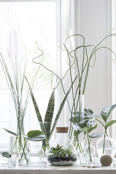 Decorate with plants ... without having to plant them (1)