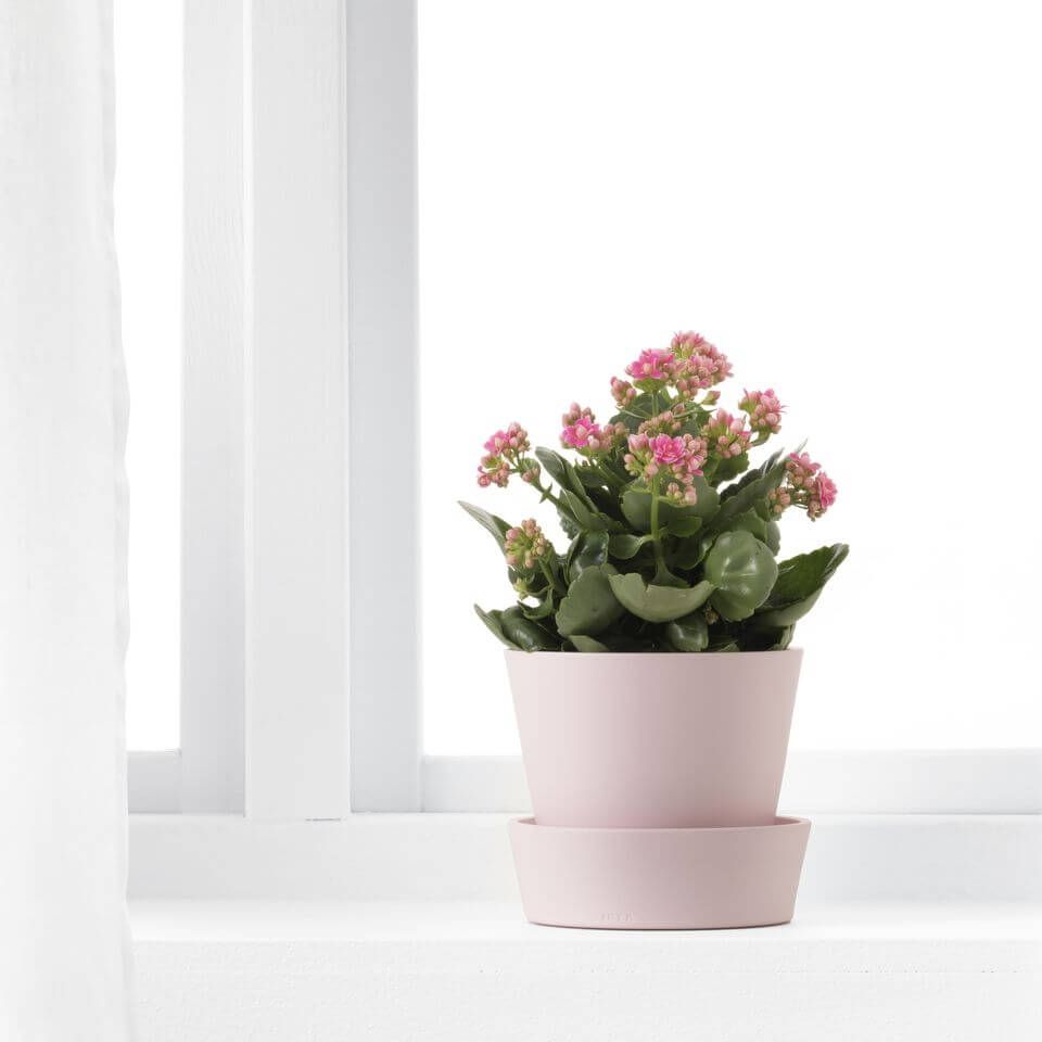 16- Stylish pink flower pot