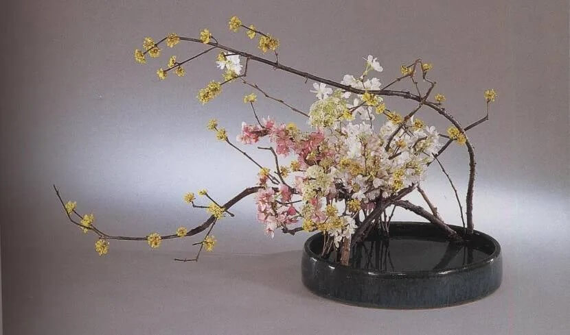 5- Branches in a vase
