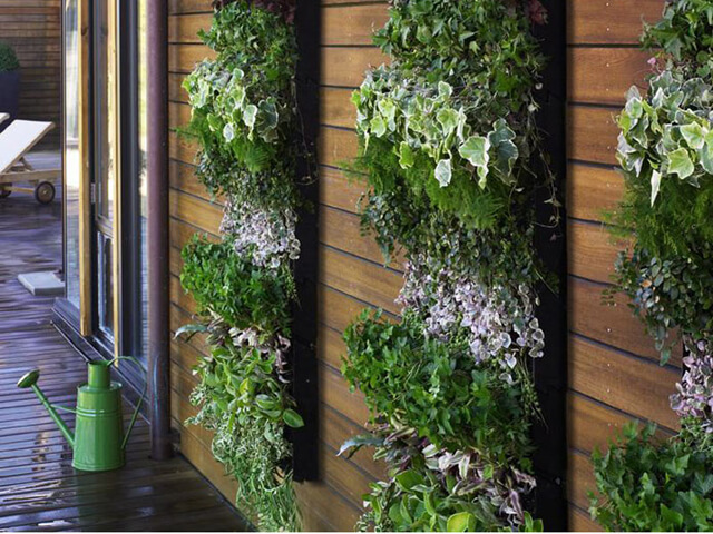 5- Do you live in an apartment Why not a vertical garden 1