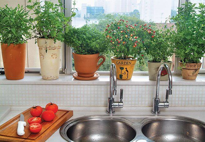 6- Mini vegetable garden in the kitchen 1