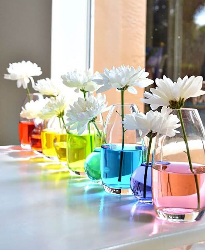 7 – Rainbow vases