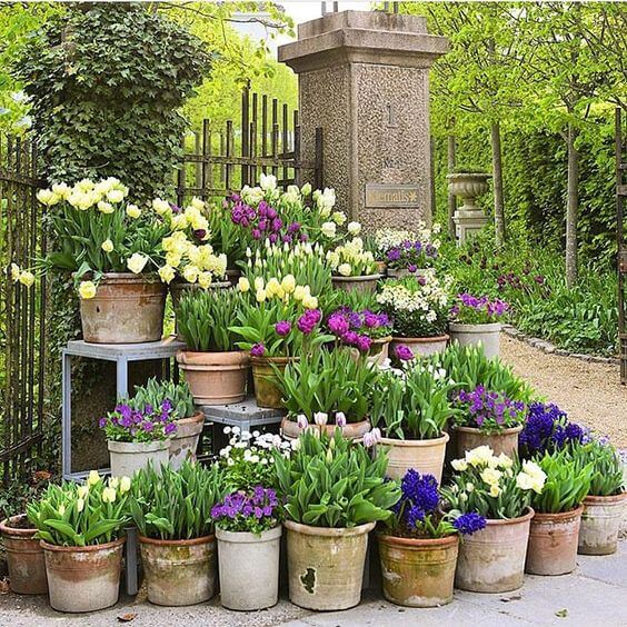 7. Install spring ornamental pots