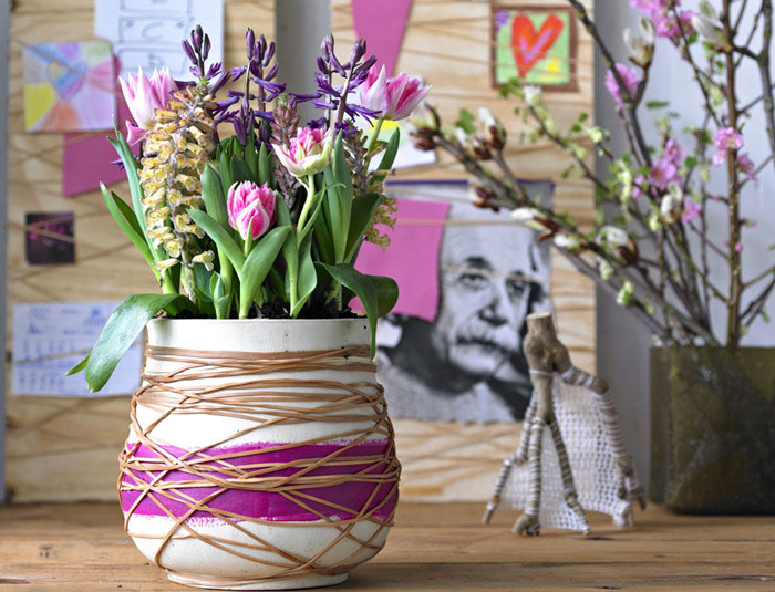 Flower and Plants Tips to Blend the House in Spring