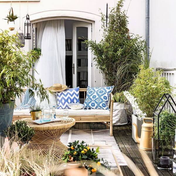 2- A small terrace, rich in plants