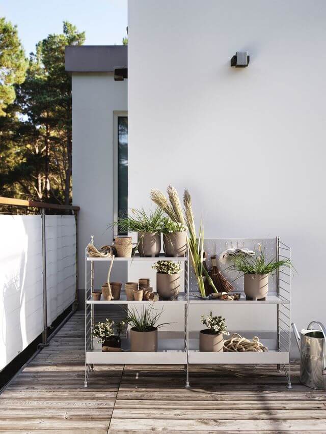 4. High-light the plants with decorative shelves